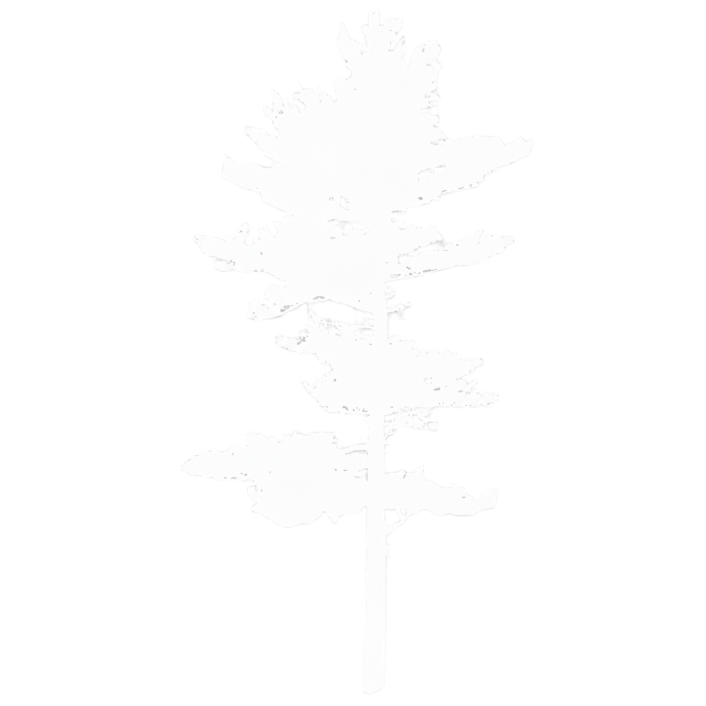 PIAI Pine Tree Logo